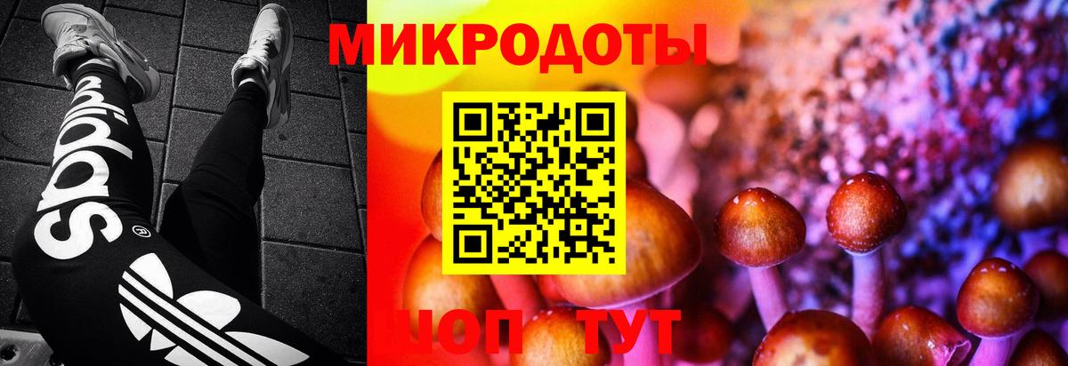 Псилоцибиновые грибы Magic Shrooms  Псилоцибиновые грибы Magic Shrooms  закладки  Кирово-Чепецк  Вход с VPN 